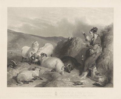 Lassie pasterskie owce. autorstwa John Burnet