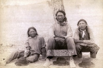 Trzech nastoletnich chłopców Lakota w zachodnich ubraniach, 1891 autorstwa John C. H. Grabill