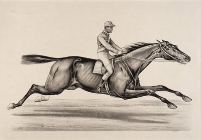 Cesarz Norfolk autorstwa John Cameron