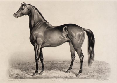 Redpath autorstwa John Cameron