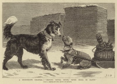 Zdegenerowany kolonialista, Brytyjczycy nigdy, nigdy, nigdy nie będą niewolnikami autorstwa John Charles Dollman