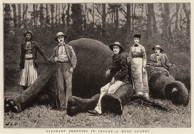 Strzelanie do słoni na Cejlonie, ogromny kamieniołom autorstwa John Charles Dollman
