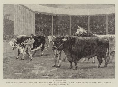 Sprzedaż bydła rasy Shorthorn, Hereford i Devon przez królową w Shaw Farm księcia konsorta, Windsor autorstwa John Charles Dollman