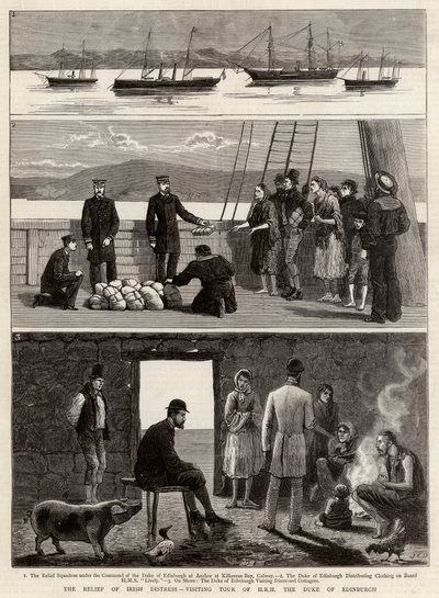 Ulga w irlandzkim cierpieniu, wizyta Jego Wysokości Księcia Edynburga autorstwa John Charles Dollman