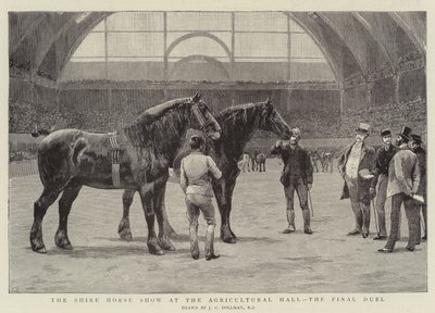 Shire Horse Show w Hali Rolniczej, finałowy pojedynek autorstwa John Charles Dollman