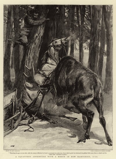 Przygoda lokatora z łosiem w New Hampshire, USA autorstwa John Charlton
