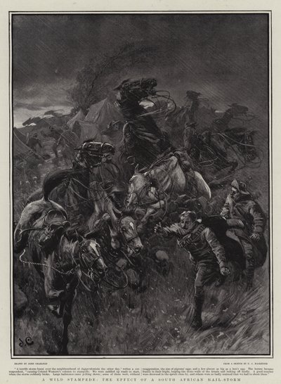 Dzikie tupotanie, efekt południowoafrykańskiej burzy gradowej autorstwa John Charlton