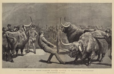 Na Cattle Show, oceniając Scotch Cattle, A Fractive Hielander autorstwa John Charlton