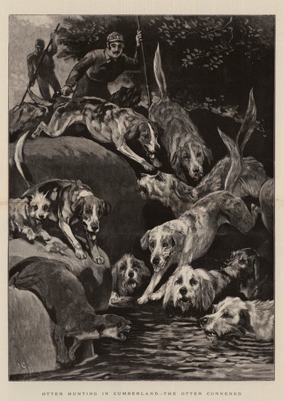 Wydra Polująca w Cumberland, wydra osaczona autorstwa John Charlton