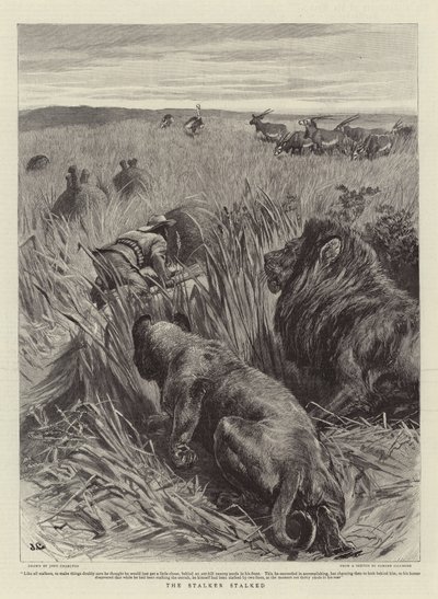 Stalker śledził autorstwa John Charlton