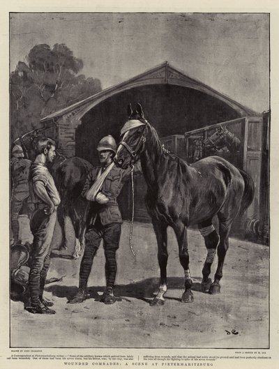 Ranni towarzysze, scena w Pietermaritzburgu autorstwa John Charlton