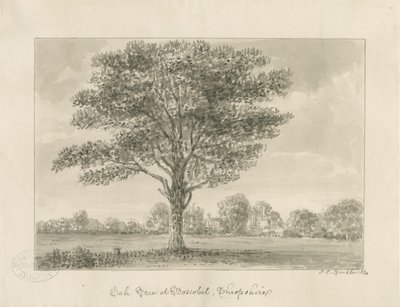Boscobel - The Royal Oak : rysunek w sepii, 1820 autorstwa John Chessell Buckler