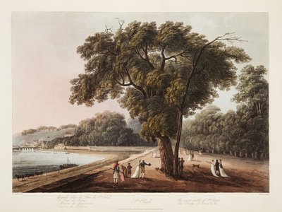 St Cloud, Great Walk of St Cloud, Bridge of Sevres itp., ilustracja z Wersalu, Paryża i Saint Denis, wyd. 1805 (akwatinta) autorstwa John Claude Nattes