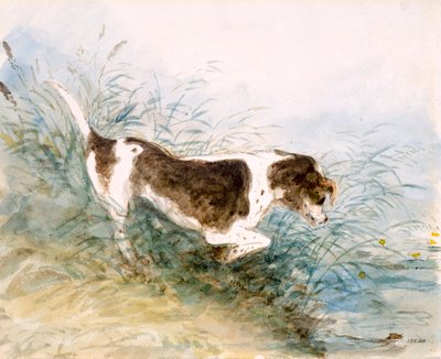 „Pies oglądający szczura w wodzie”, 1831 autorstwa John Constable