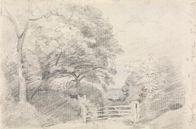 Drewno Coombe