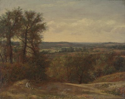 Dadham Wale autorstwa John Constable