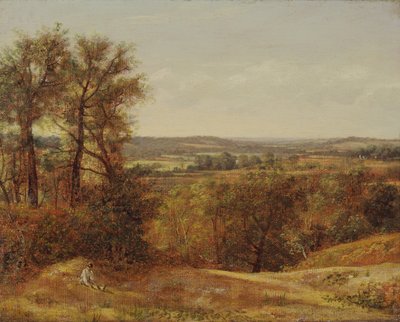 Dadham Wale, 1802. autorstwa John Constable
