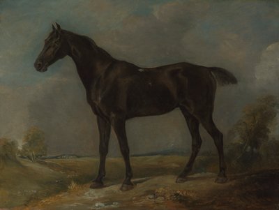 Czarny koń wierzchowy Goldinga Constable