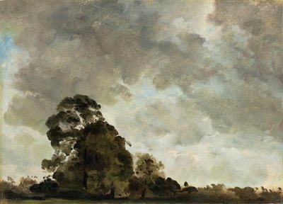 Krajobraz w Hampstead, Tree and Storm Clouds, c.1821 (olej na papierze położony na panelu) autorstwa John Constable