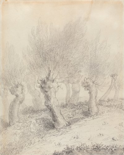Ogłowione wierzby autorstwa John Constable