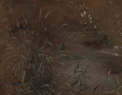 Rushs przez basen autorstwa John Constable
