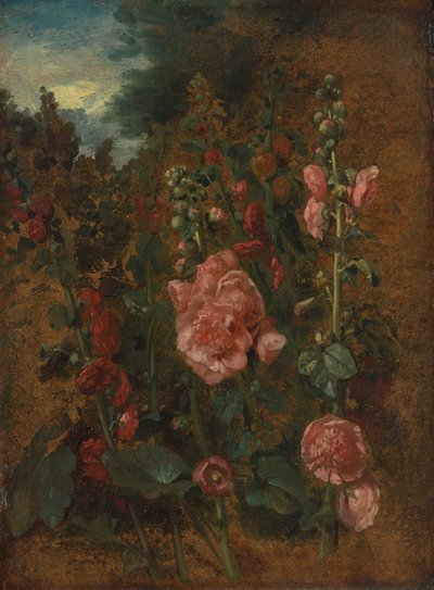 Estudo da malva-rosa autorstwa John Constable