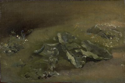 Studium łopianu, ok. 1810-14 lub ok. 1828 autorstwa John Constable