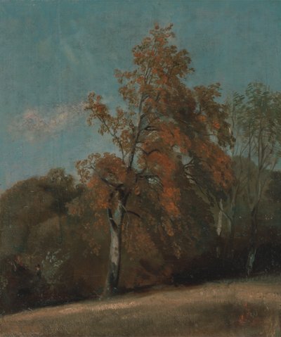 Badanie drzewa jesionowego autorstwa John Constable