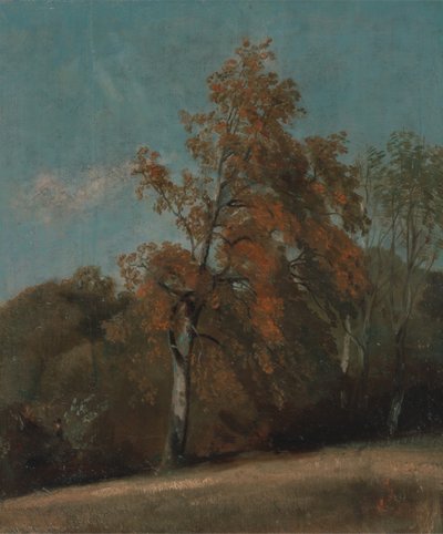 Badanie jesionu w latach 1801-1803 lub 1810-1830. autorstwa John Constable