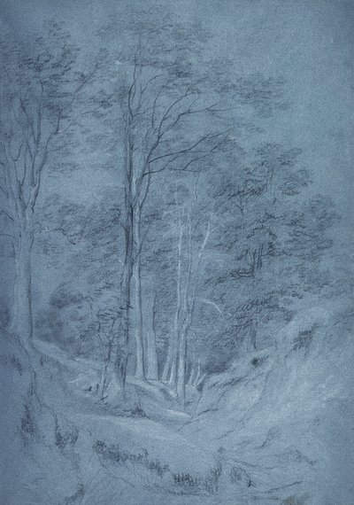 Studium jesionu i innych drzew (ołówek na papierze, podkreślony białą kredą) autorstwa John Constable
