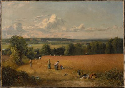 Pole pszenicy autorstwa John Constable