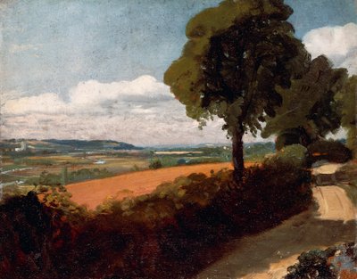 Widok z drogi prowadzącej do East Bergholt autorstwa John Constable