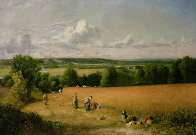 Pole pszenicy autorstwa John Constable