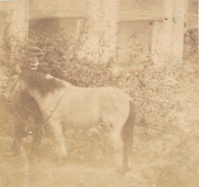 [Człowiek i koń, rząd, Allahabad], 1858. autorstwa John Constantine Stanley