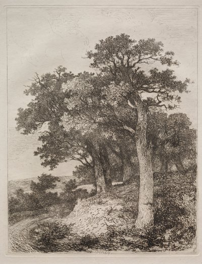 W Colney. autorstwa John Crome