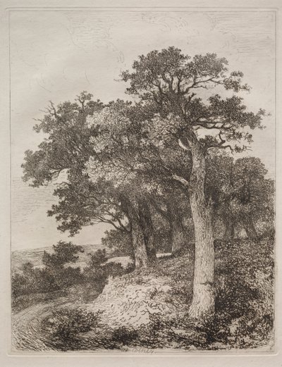 w Colney autorstwa John Crome