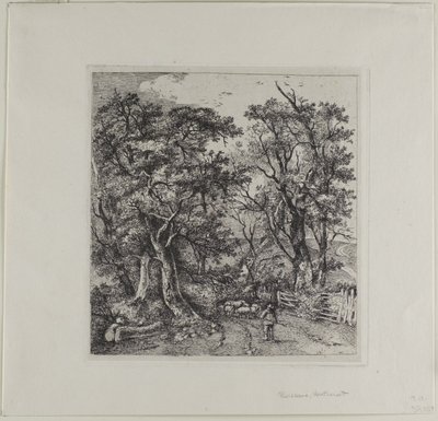 Scena drogowa, Heathersett autorstwa John Crome