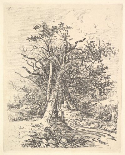 Pnie drzew i aleja, 1811-13. autorstwa John Crome