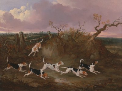 Beagles em Crypolish completo autorstwa John Dalby