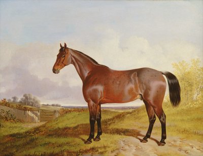 په یوه منظره کې د خلیج هنټر مطالعه، 1854 پولی autorstwa John Dalby