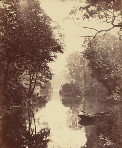Letni wieczór, Penllergare autorstwa John Dillwyn Llewelyn