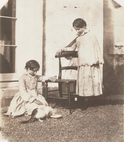 Karmienie biednego kota, 1853-56. autorstwa John Dillwyn Llewelyn