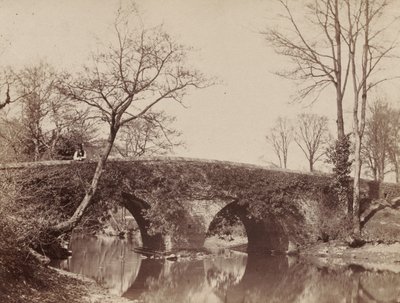 Most Wiejski Most Staplylton, Bristol, ok. 1930 r. 1854-1857. autorstwa John Dillwyn Llewelyn