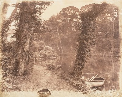 Jezioro Górne, 1853-56. autorstwa John Dillwyn Llewelyn