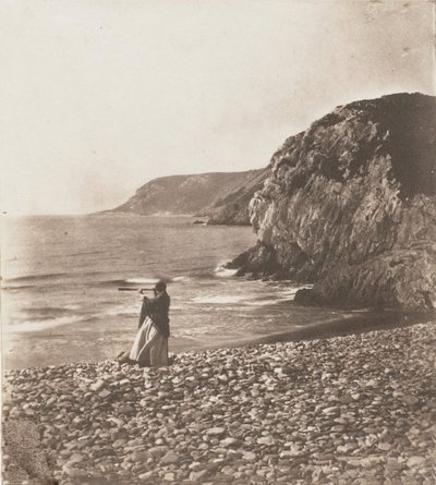 Wiatry i fale, 1853-56. autorstwa John Dillwyn Llewelyn