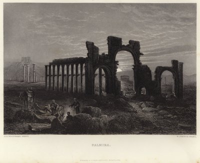 Palmyra autorstwa John Douglas Woodward