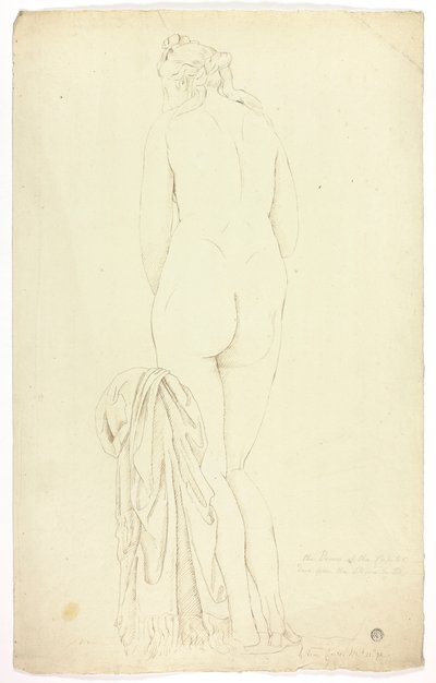 Kapitolińska Wenus autorstwa John Downman