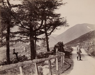 Clova - Zrujnowane domy, 1895 autorstwa John Edward Alyosius Steggall