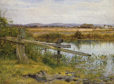 Pobocze, 1862 autorstwa John Edward Newton