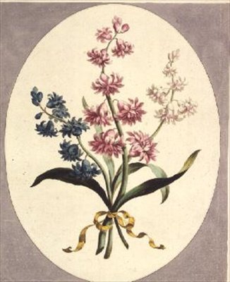 Hiacynty wschodnie autorstwa John Edwards